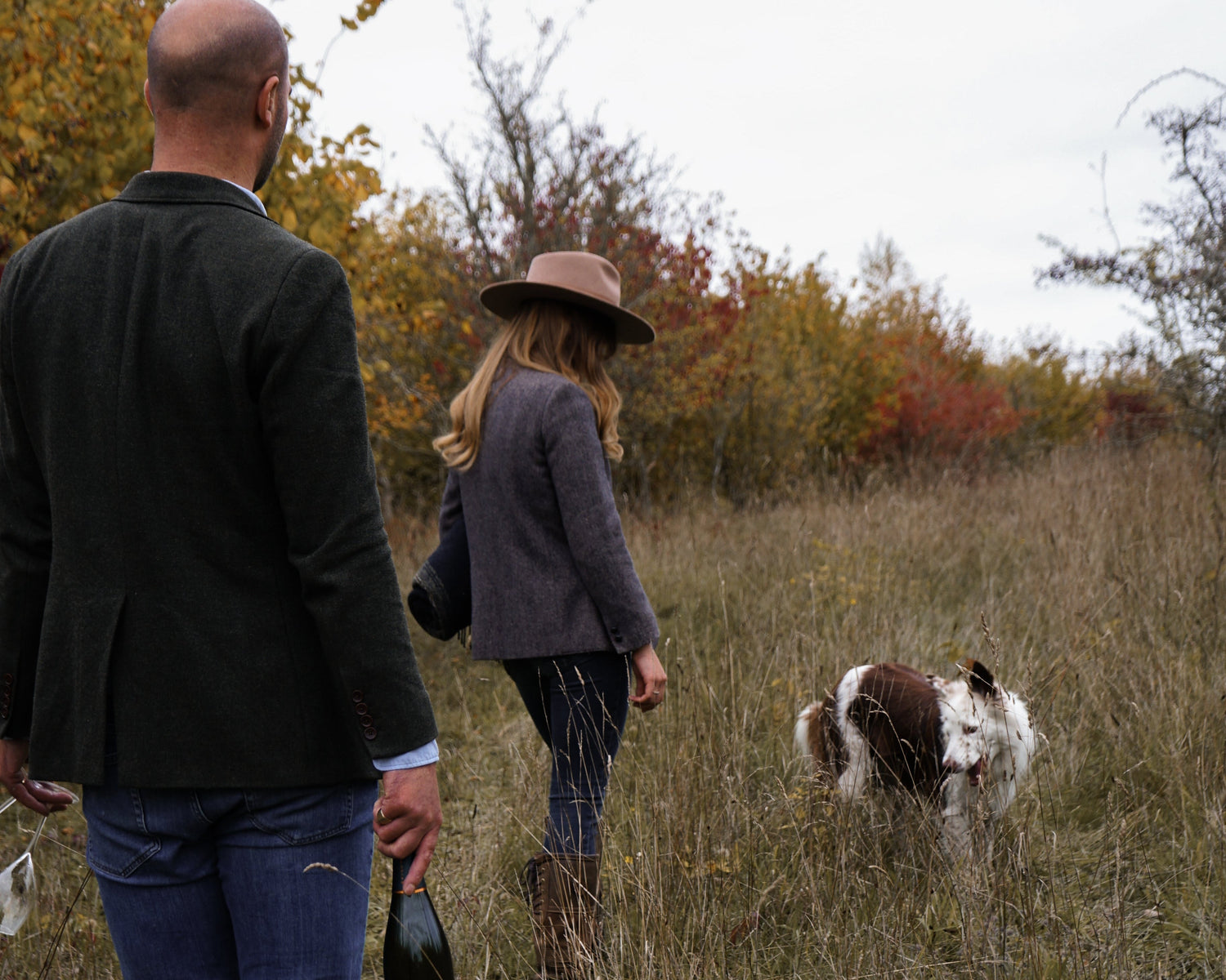 HAMPSHIRE WINTER WALKS