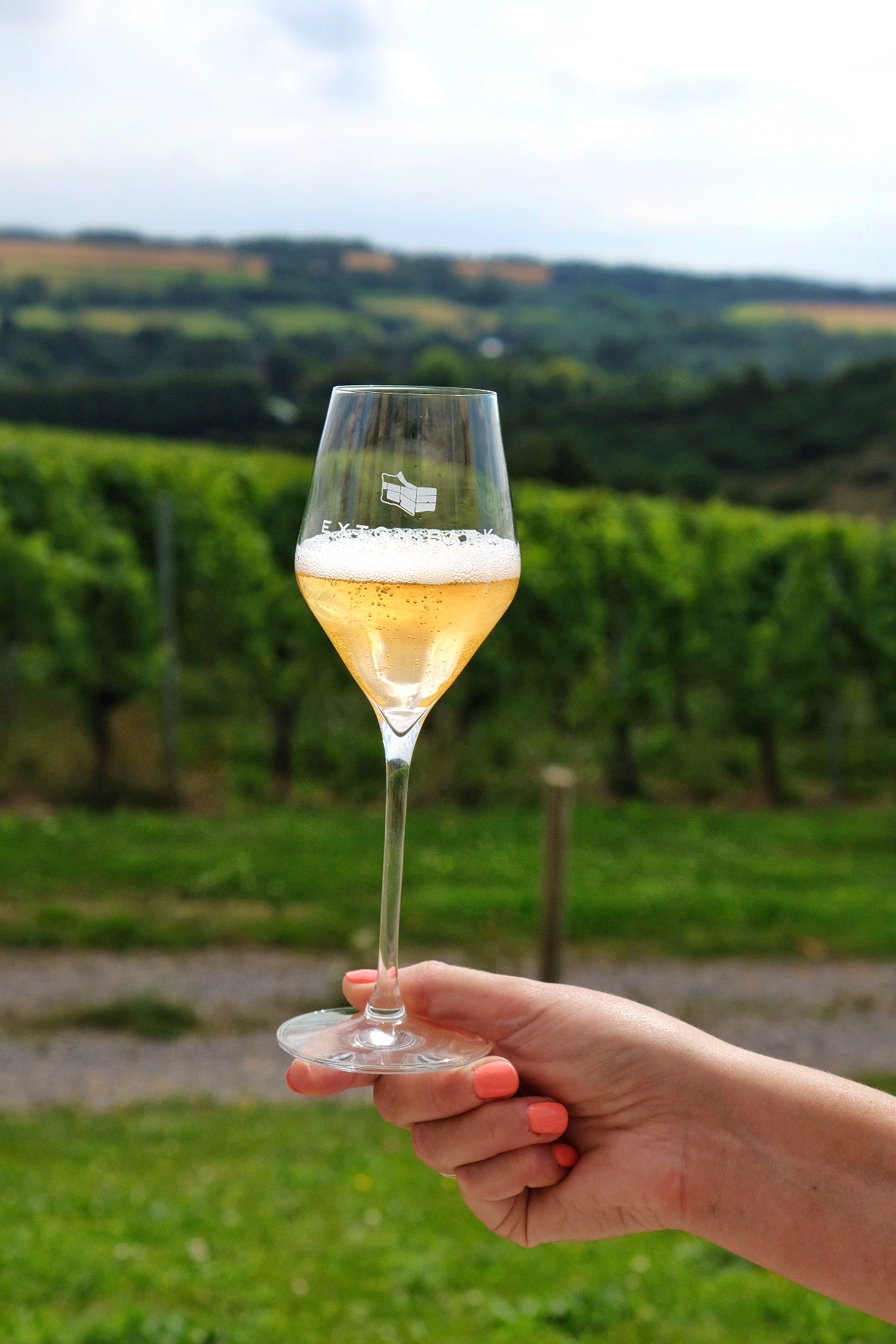 Vault Member Wine Tasting - Members-Only