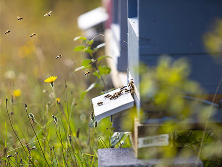 Tour & Tasting - Selected Saturdays