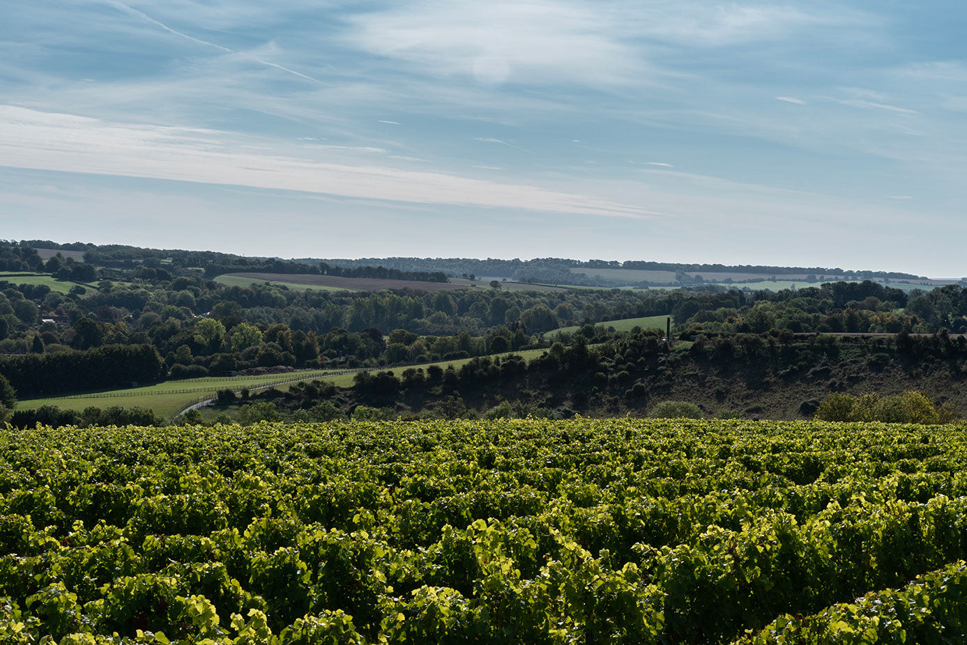 Tour & Tasting for Two Gift Card