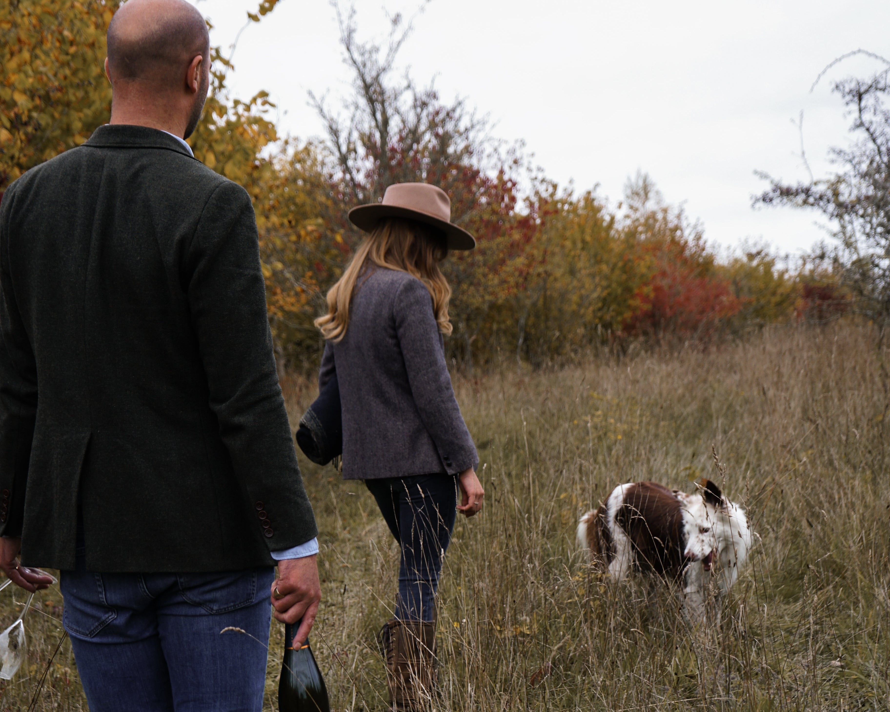 HAMPSHIRE WINTER WALKS