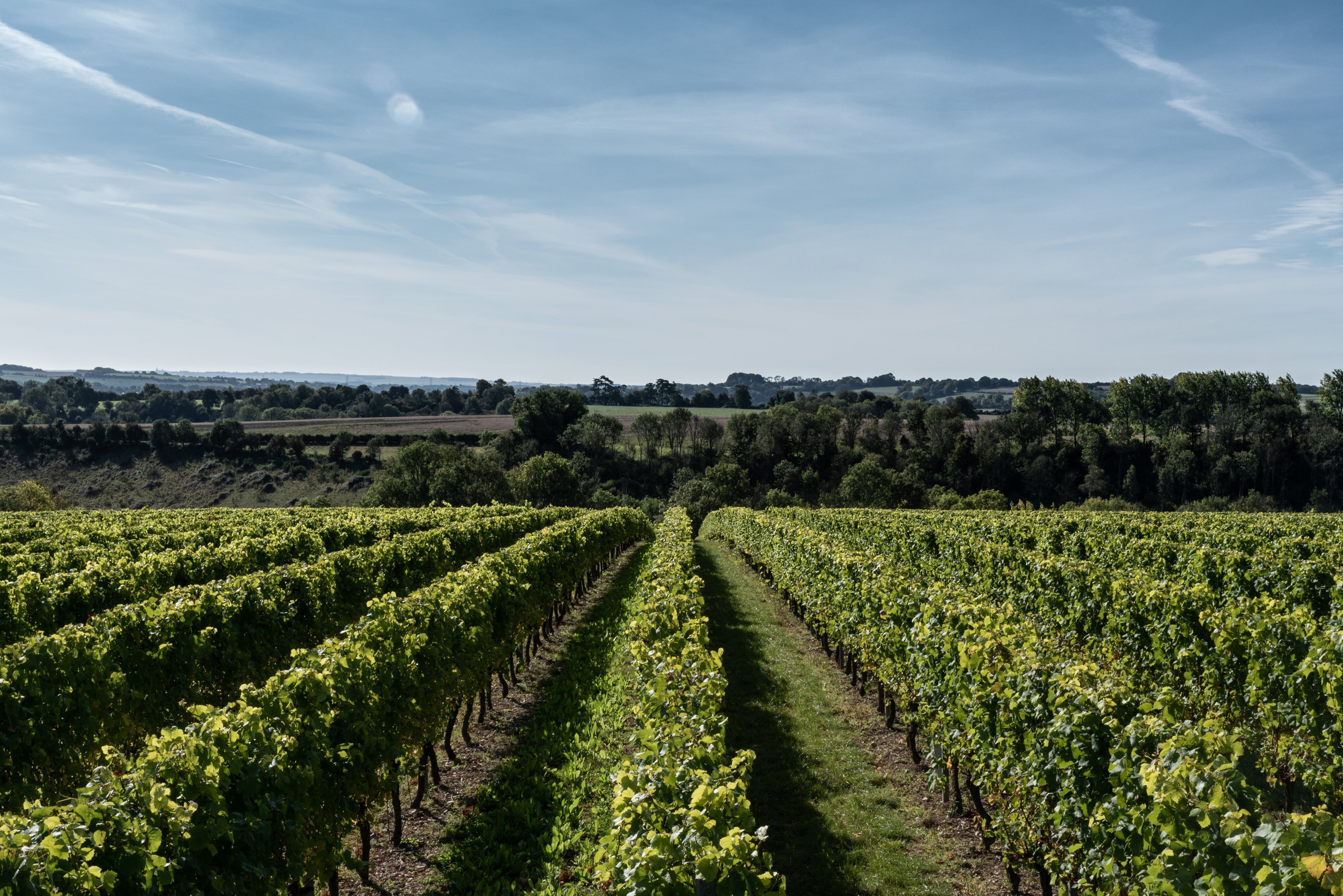 DIGITAL MARKETING SPECIALIST